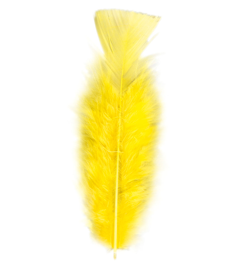 Pack of Yellow Feathers