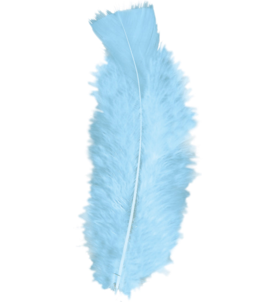 Pack of Baby Blue Feathers