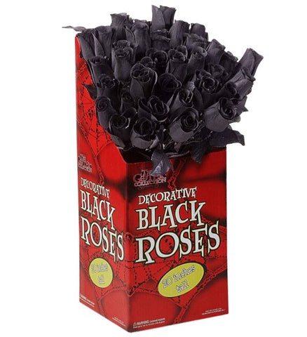 SINGLE BLACK ROSE
