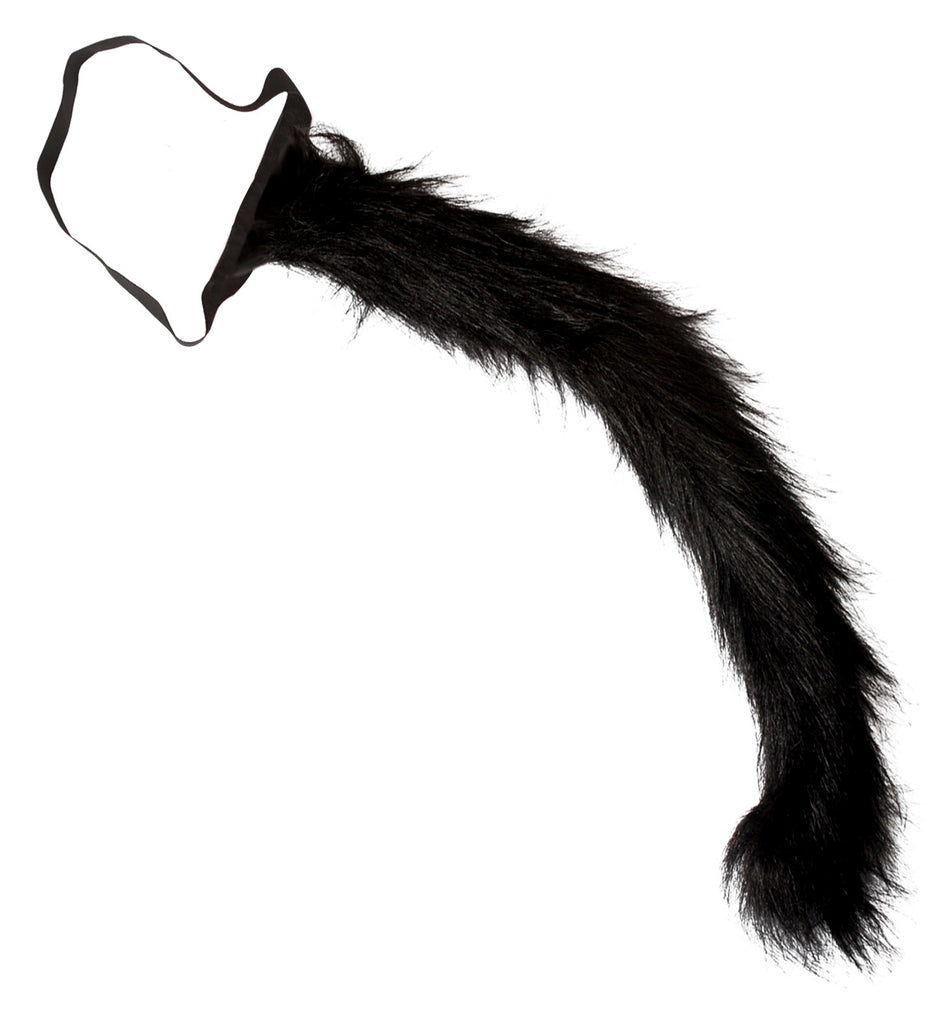 Cat Tail